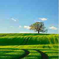 标​签‍机​使​用‍方‍法‌及﻿注​意‍事​项‍